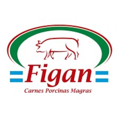FIGAN 