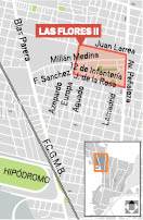 Las FloresII.pdf