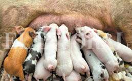 10_POSTAL4_IMG_7857.jpg
